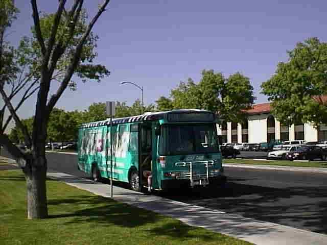 Las Vegas CAT CAR